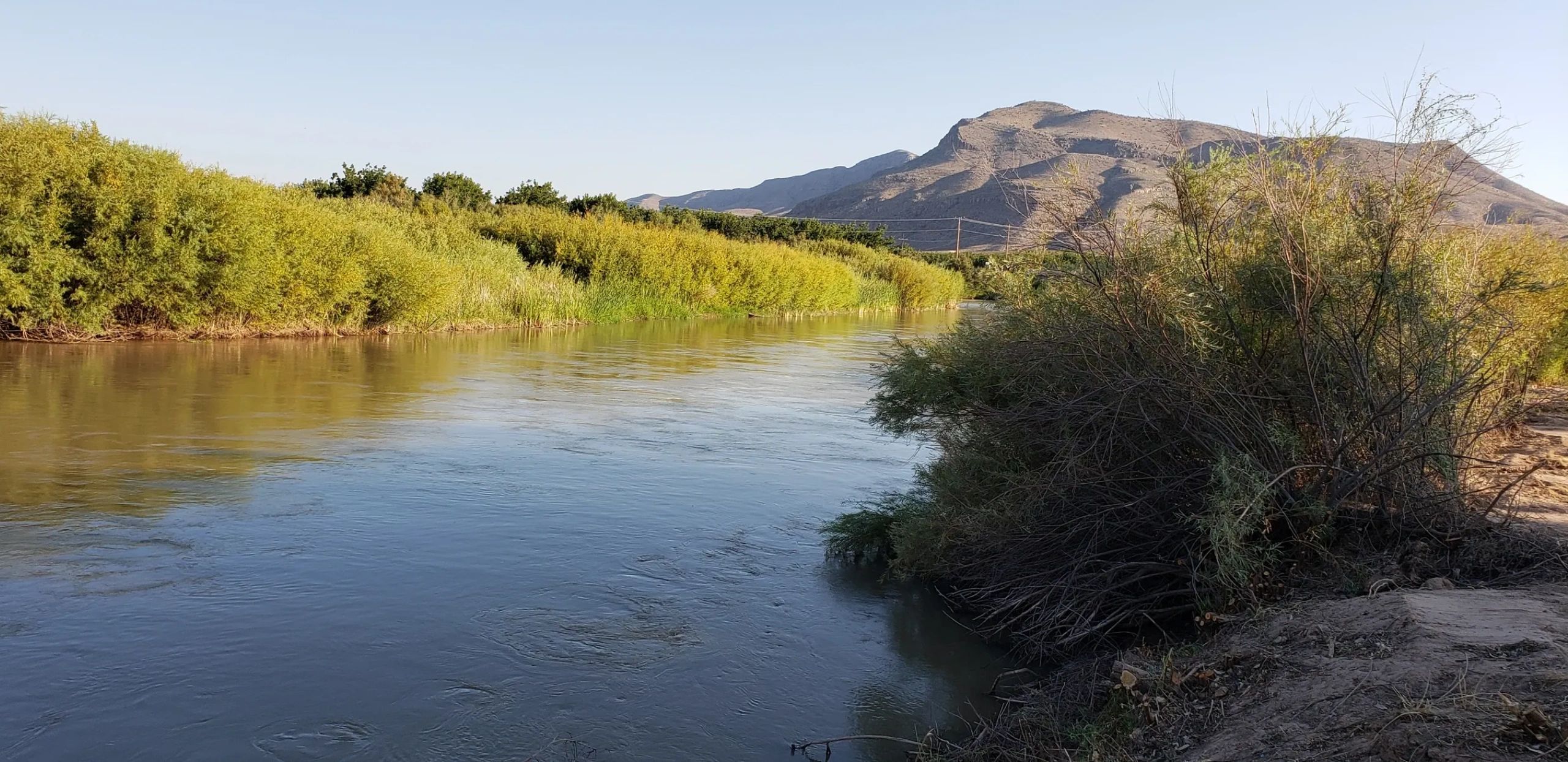 Rio Grande RV Park, LLC - Las Cruces, New Mexico - glamping.directory