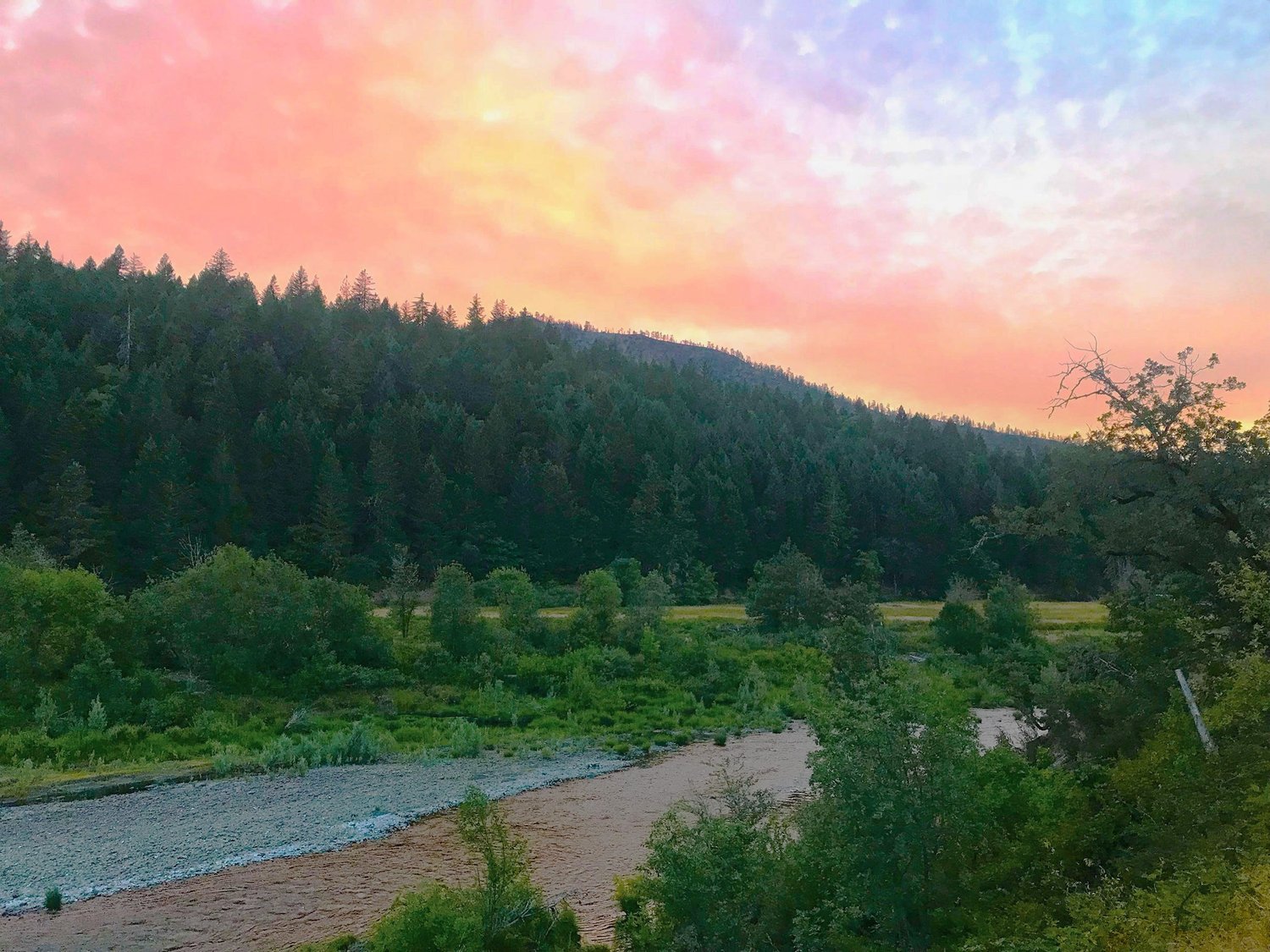 Cedar Bloom Farm - Cave Junction, Oregon - glamping.directory