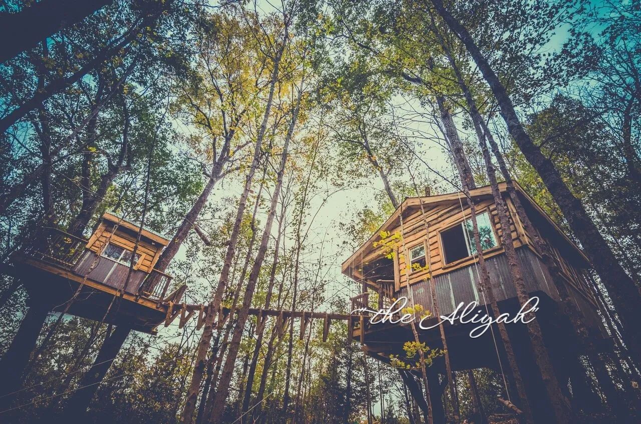 Treehouse Rental Adventures - Earthjoy - Brooksville, Kentucky - glamping.directory