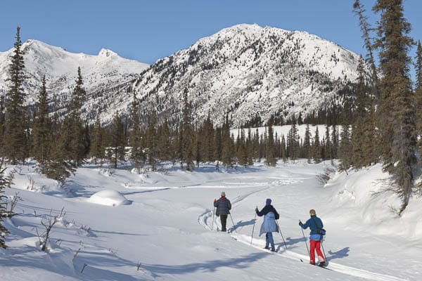 Arctic Getaway Bed & Breakfast - Fairbanks, Alaska - glamping.directory