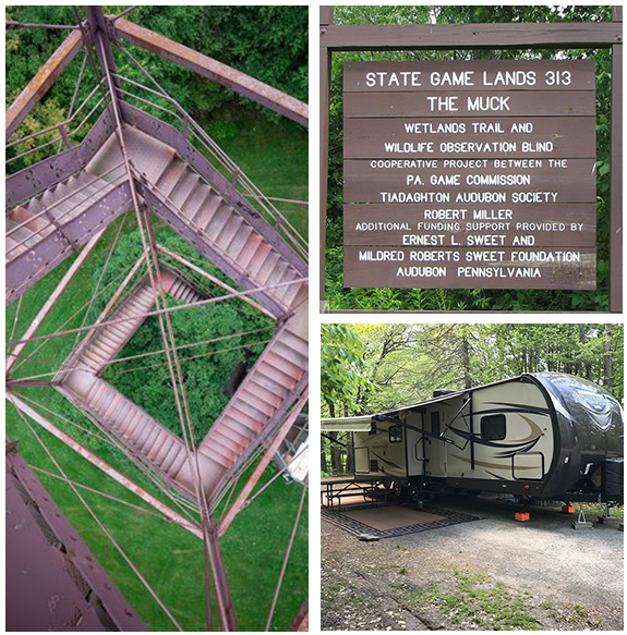 Canyon Country Campground & Glamping - Wellsboro, Pennsylvania - glamping.directory