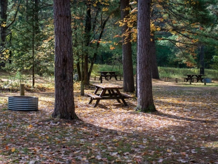 Pigeon Bridge State Forest Campground - Vanderbilt, Michigan - glamping.directory