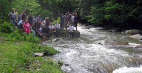 Abrams Creek Retreat & Campground - Elk Garden, West Virginia - glamping.directory