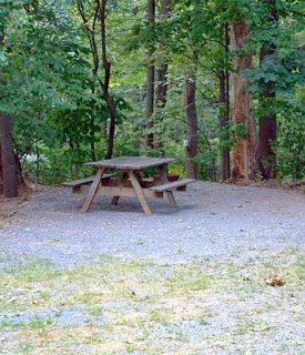Starlite Camping Resort - Stevens, Pennsylvania - glamping.directory