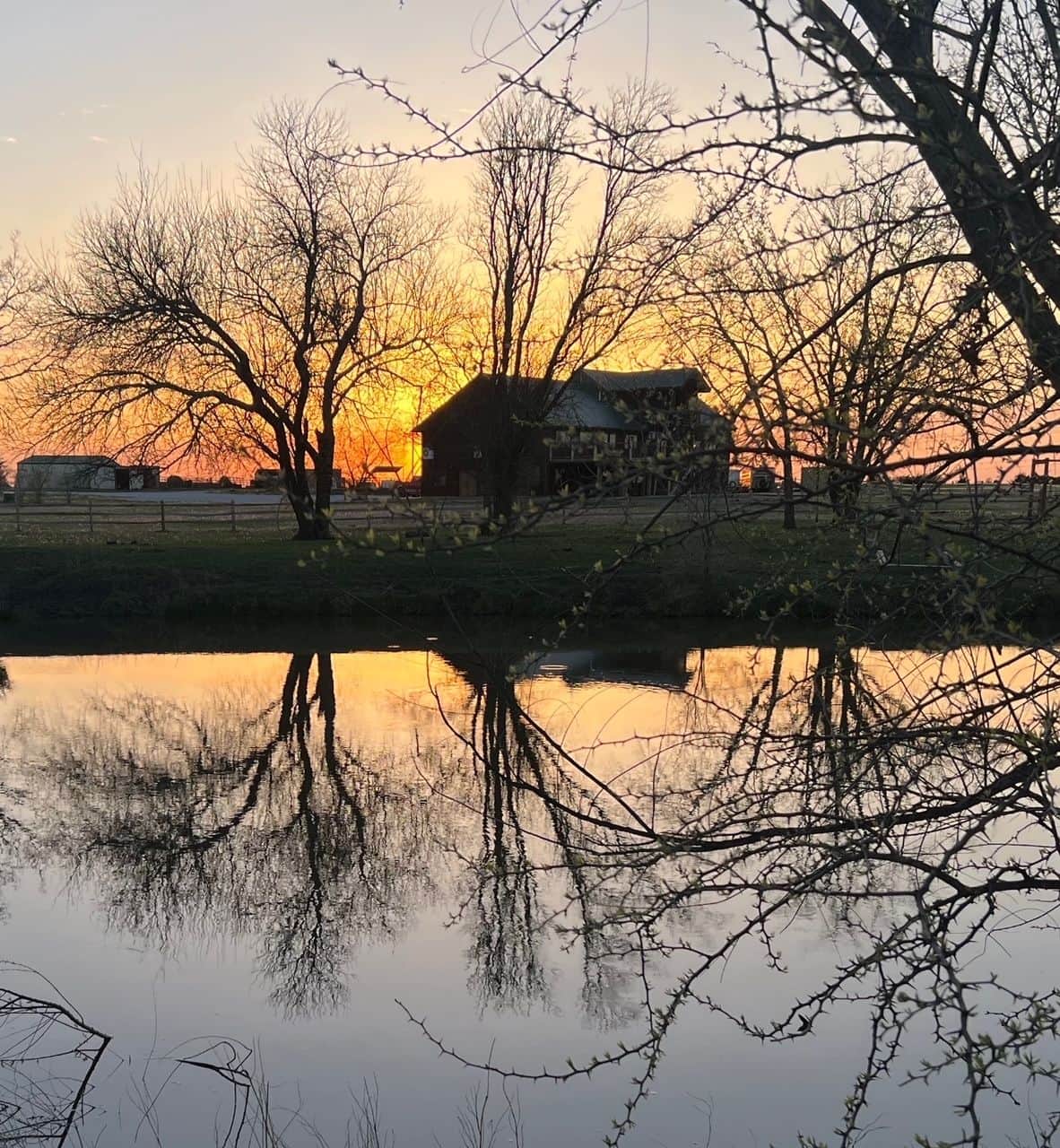 Tree Lodge - glamping.directory