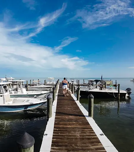 Jolly Roger RV Resort - Marathon, Florida - glamping.directory