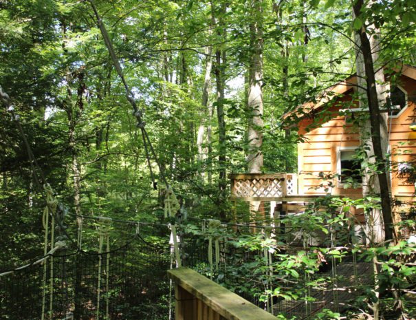 Country Road Cabins - Hico, West Virginia - glamping.directory