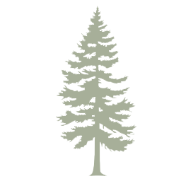 Elk Haven Cabins and RV Park - Payson, Arizona - glamping.directory