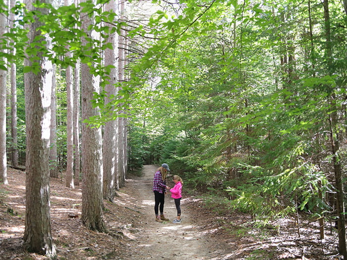 Proud Lake Rec Area - Modern Campground - Commerce Township, Michigan - glamping.directory