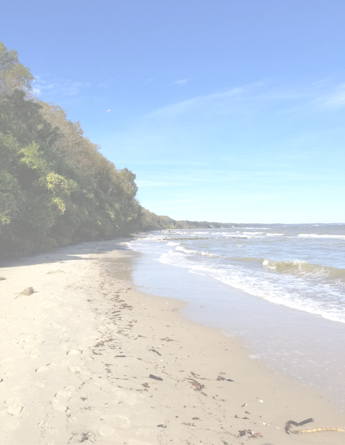 Matoaka Beach Cabins - St Leonard, Maryland - glamping.directory