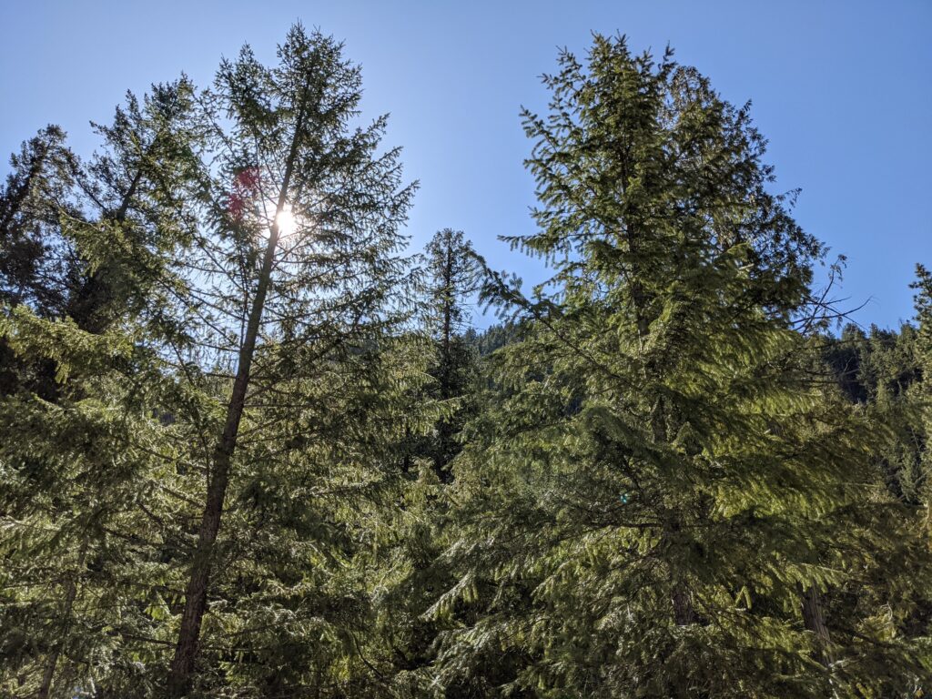 Alpine RV Park & Campground - Leavenworth, Washington - glamping.directory