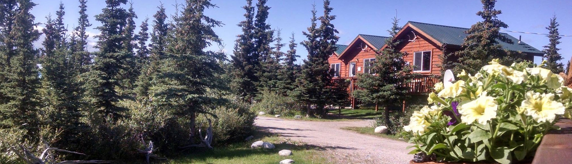 Denali's Alaskan Spruce Cabins - Healy, Alaska - glamping.directory