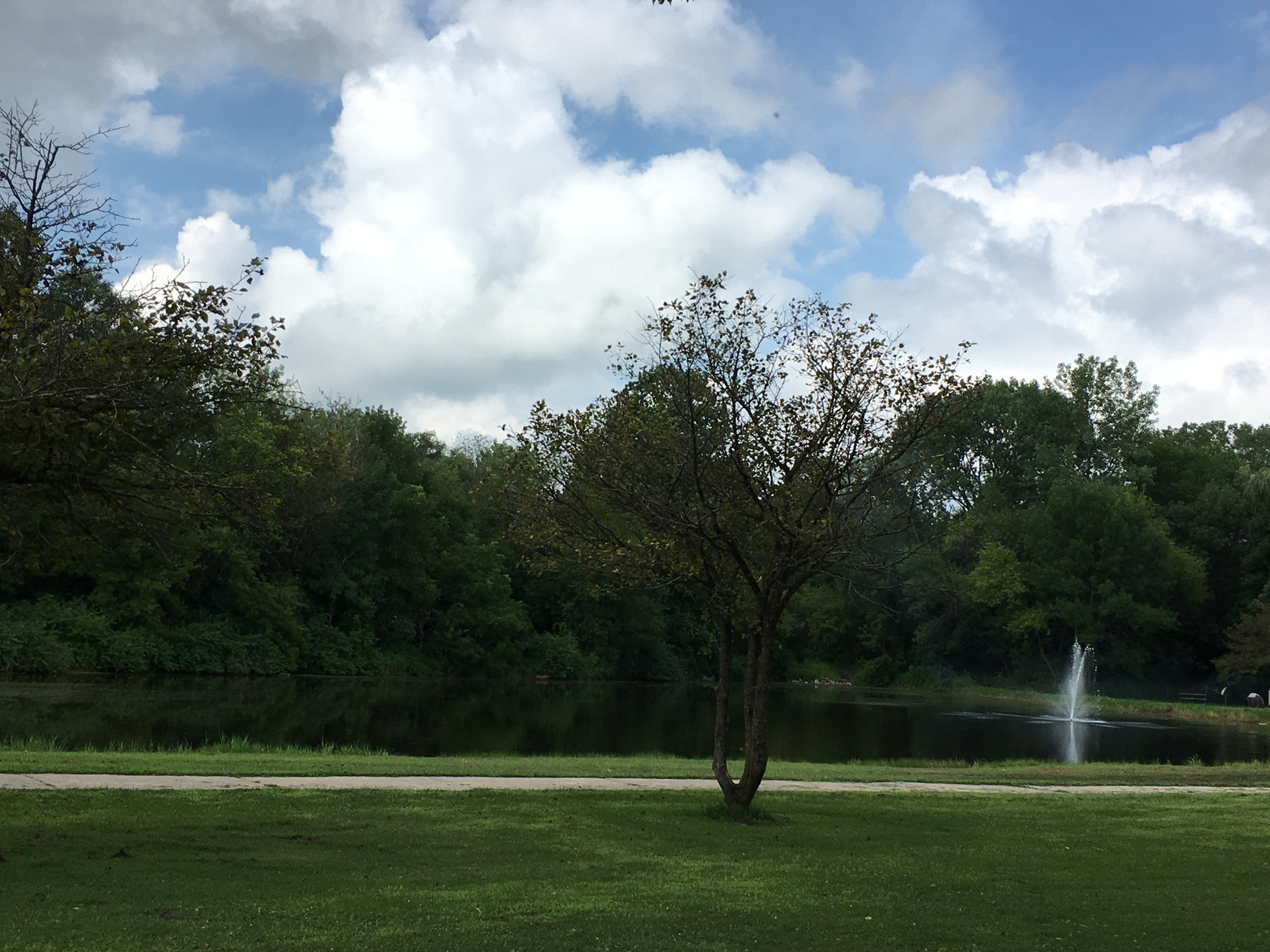 Green River Oaks Camping Resort - Amboy, Illinois - glamping.directory