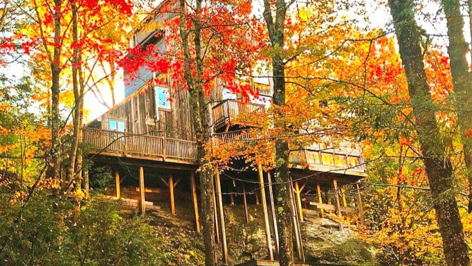 The Vermont Treehouse - glamping.directory