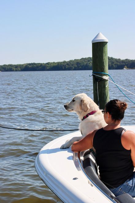 Bar Harbor RV Park and Marina - Abingdon, Maryland - glamping.directory