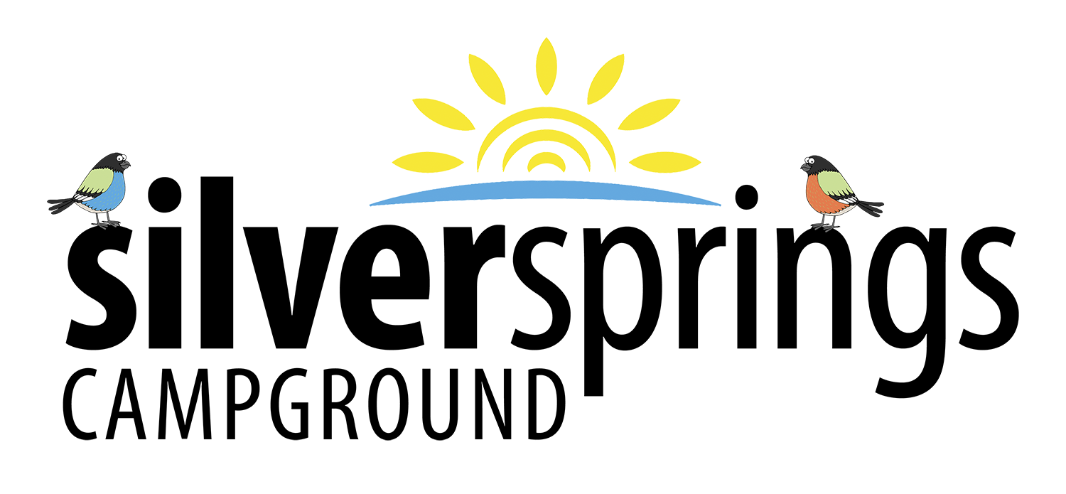 Silver Springs Campground LLC - Rio, Wisconsin - glamping.directory