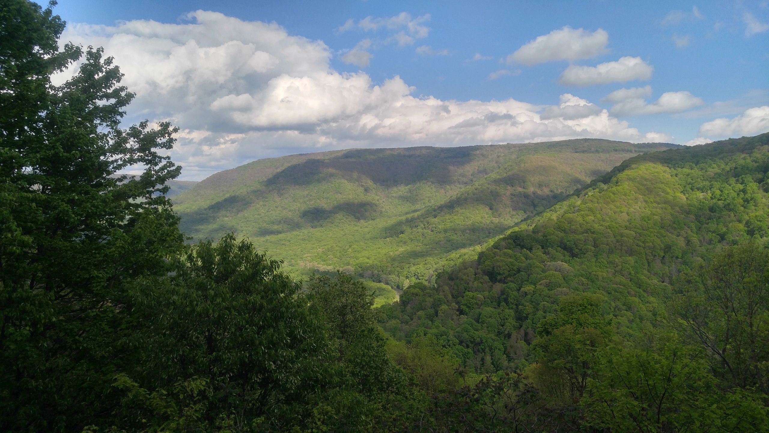 Mason-Dixon Campground - Meyersdale, Pennsylvania - glamping.directory