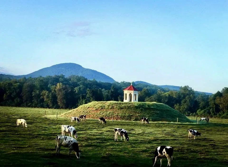 Tanglewood Cabins Rentals & Deer Crossing Lodge - Sautee Nacoochee, Georgia - glamping.directory
