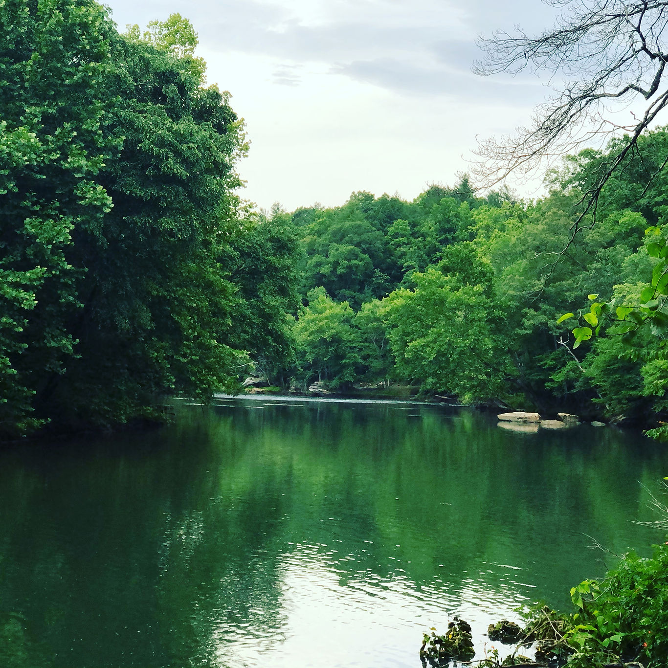 Camp Attocoa (Tent Only) - Morganton, North Carolina - glamping.directory