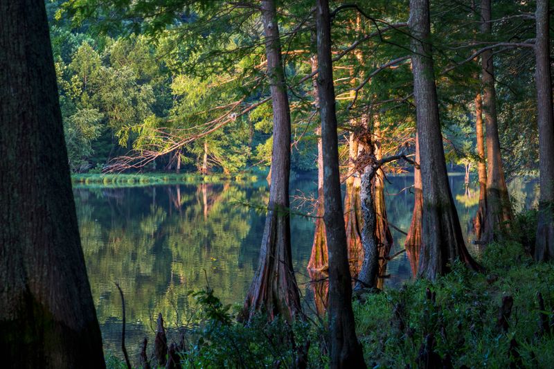Beavers Bend Lodge - Broken Bow, Oklahoma - glamping.directory