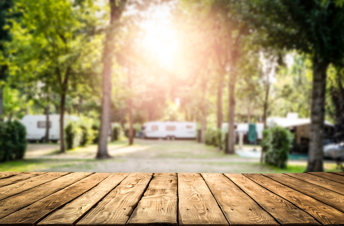Walnut Ridge Campground - New Castle, Indiana - glamping.directory