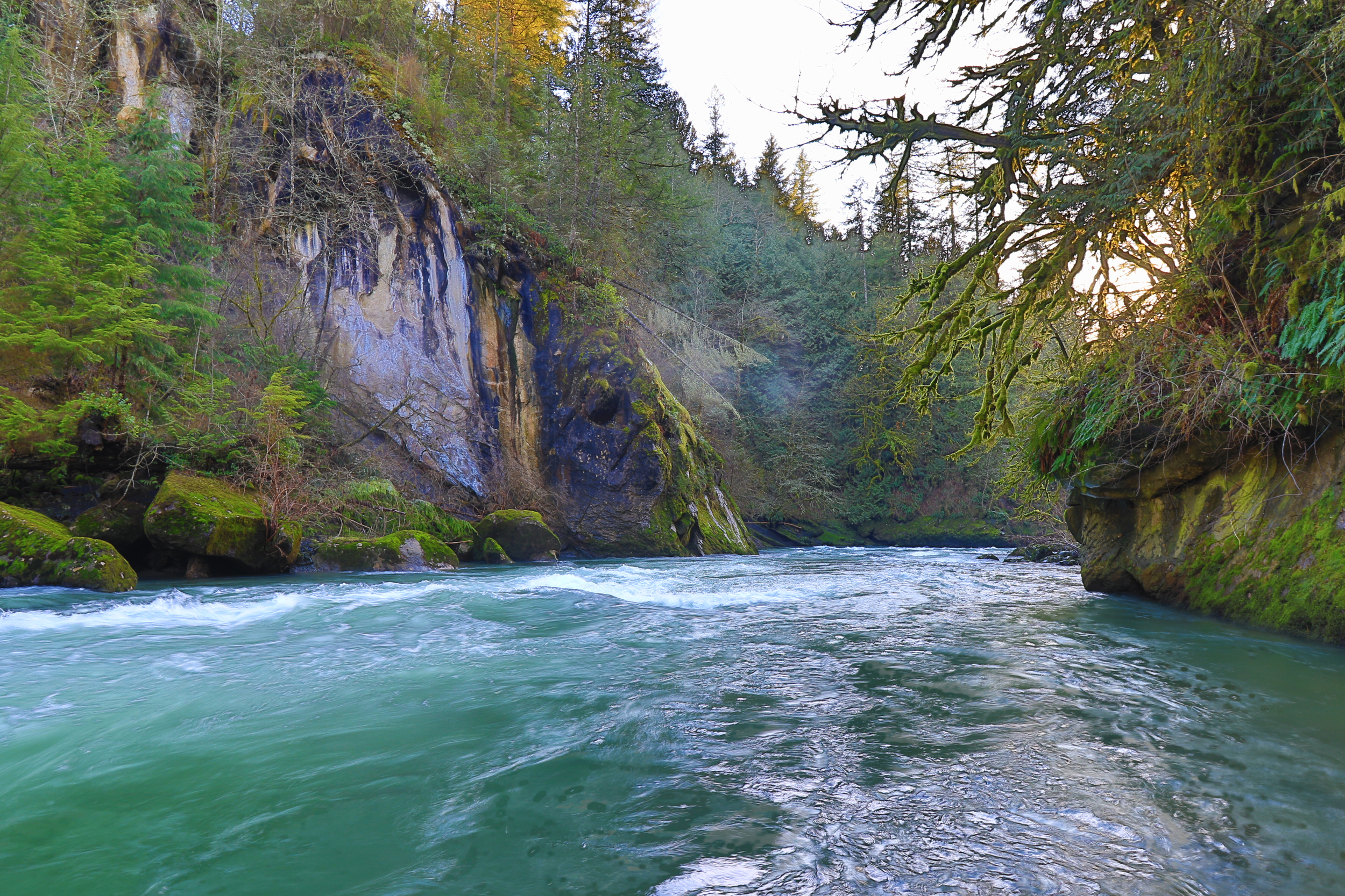Green River Gorge Resort - Enumclaw, Washington - glamping.directory