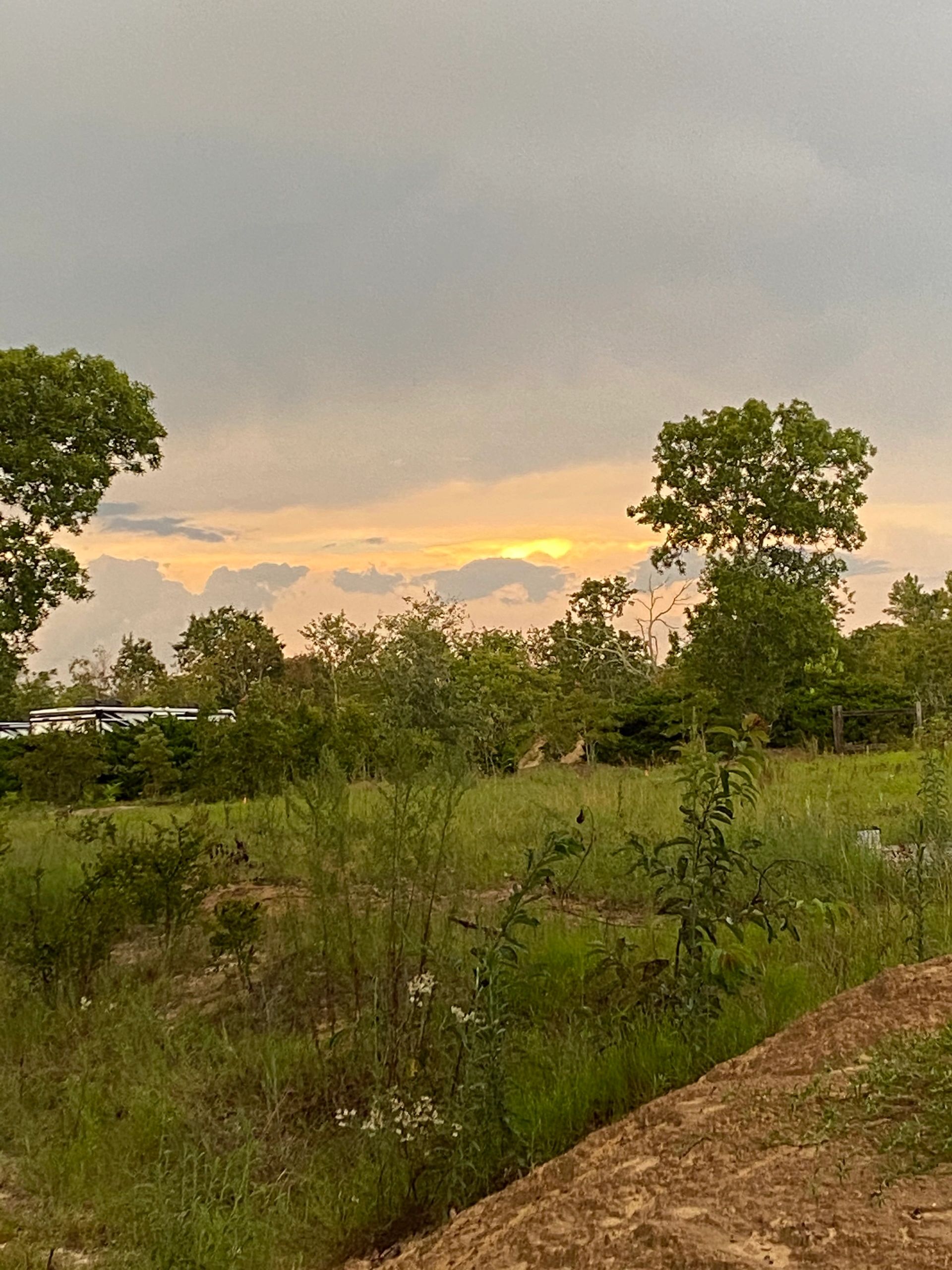 Sandy Oak RV Park - Aiken, South Carolina - glamping.directory