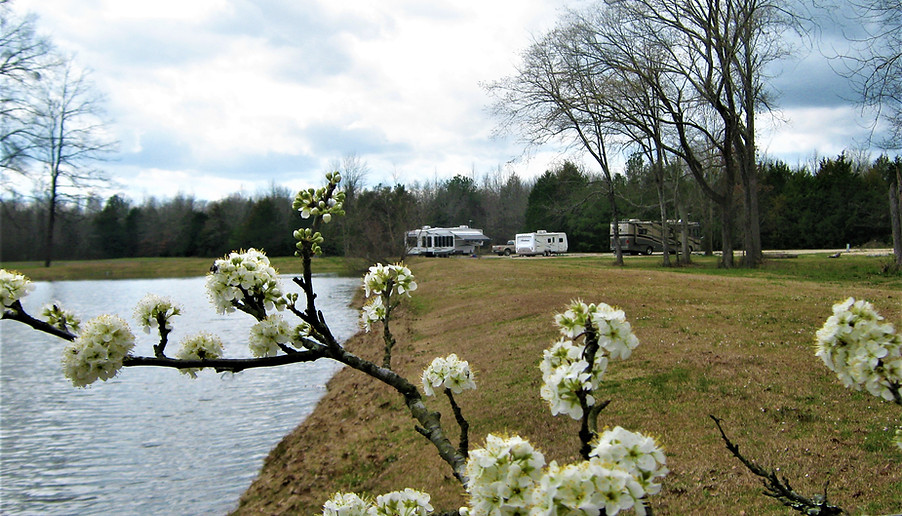 Belaire RV Park - Starkville, Mississippi - glamping.directory