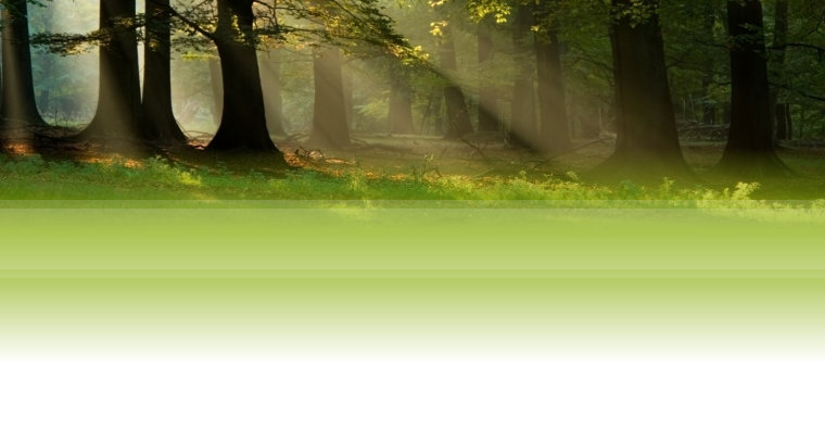 Cedar Valley Grove Campground - Mechanicsville, Iowa - glamping.directory
