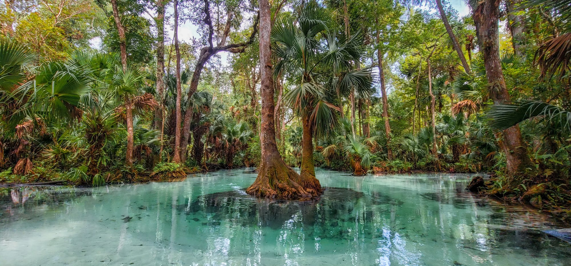 Kings Landing Campground - Apopka, Florida - glamping.directory