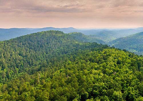 Catherine's Landing, an RVC Outdoor Destination - Hot Springs, Arkansas - glamping.directory