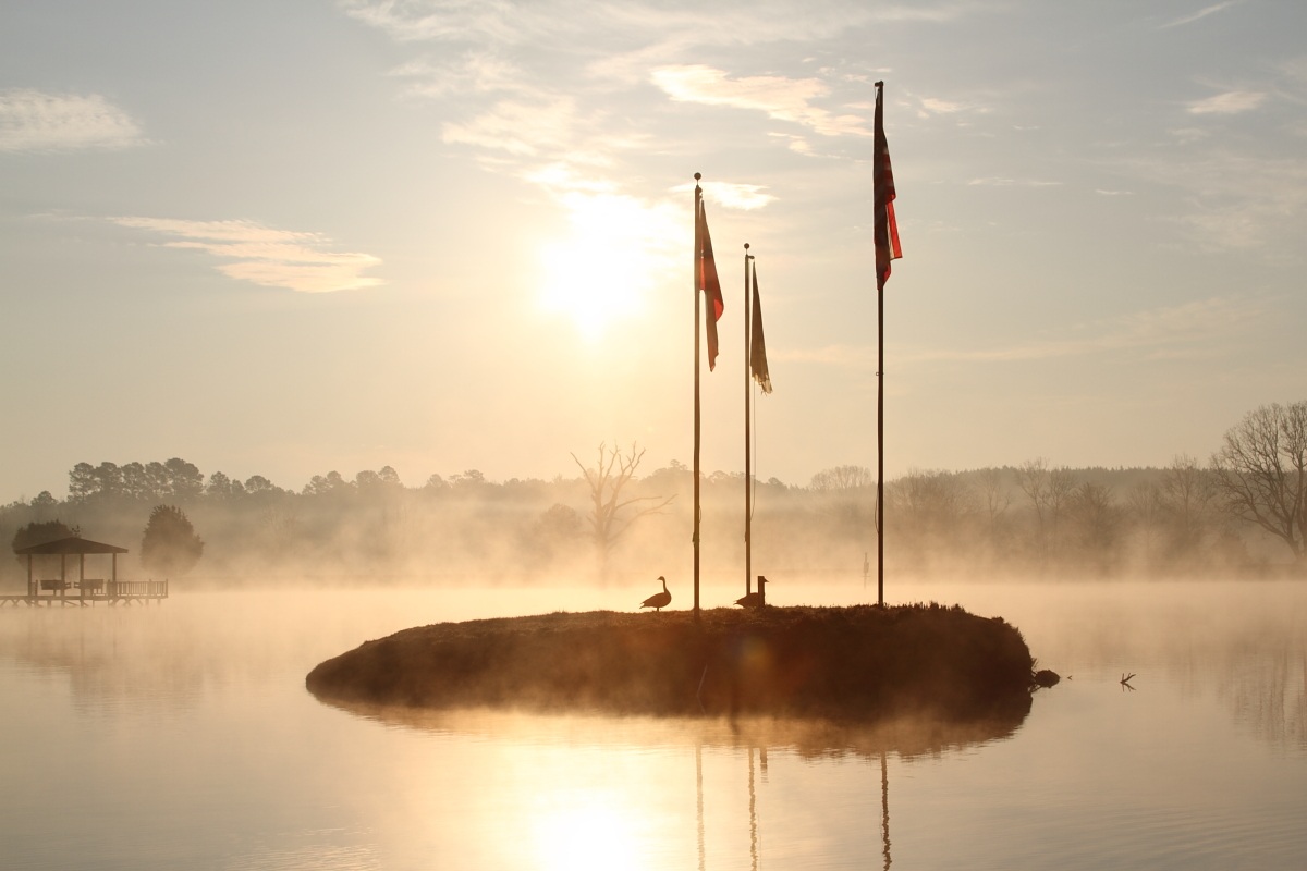 Mallards Landing RV Park - Sallis, Mississippi - glamping.directory