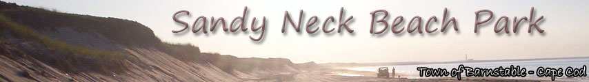 Sandy Neck Camp Sites - West Barnstable, Massachusetts - glamping.directory