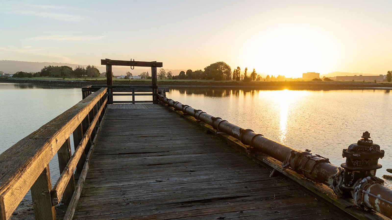 Eagle Spring Backpack Camp - Fremont, California - glamping.directory