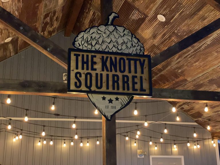 The Knotty Squirrel - Mountain View, Arkansas - glamping.directory