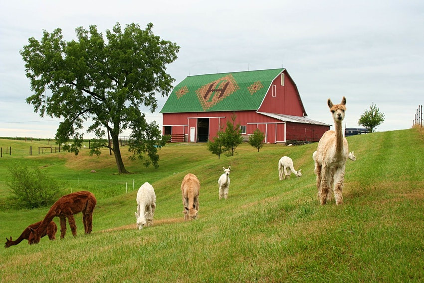 Heritage Farm Stay Adventure - Flora, Indiana - glamping.directory