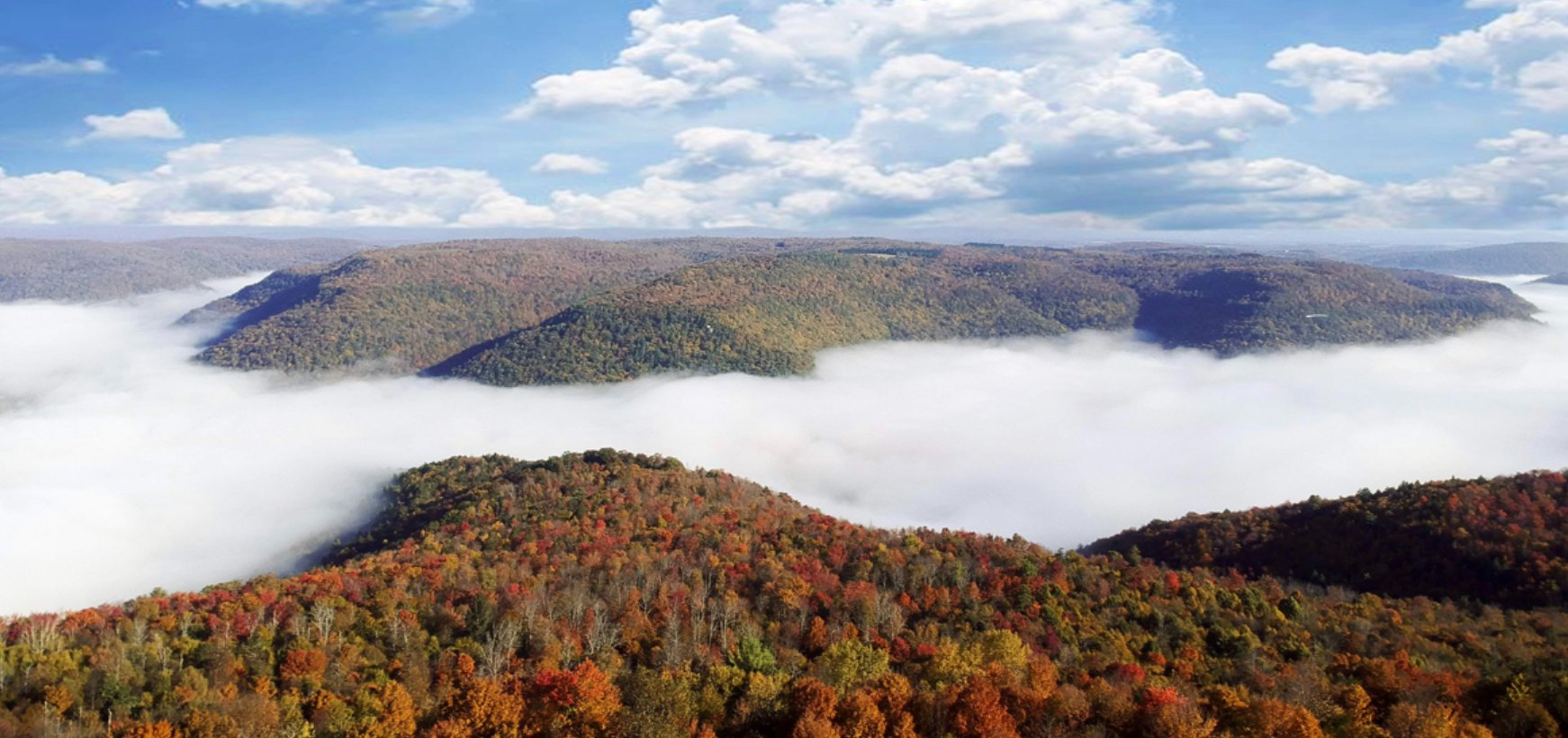 Elk Creek Escape - Hillsgrove, Pennsylvania - glamping.directory