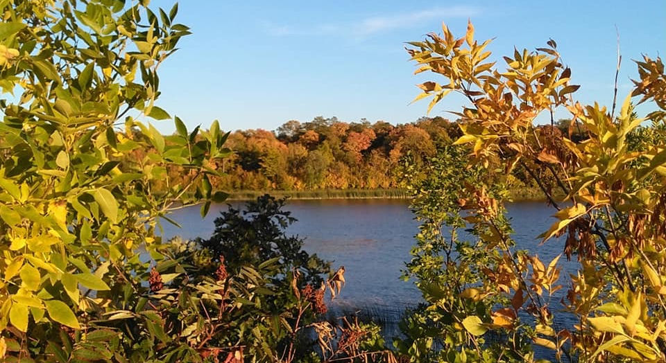 Union Lake Sarah Campground - Erskine, Minnesota - glamping.directory