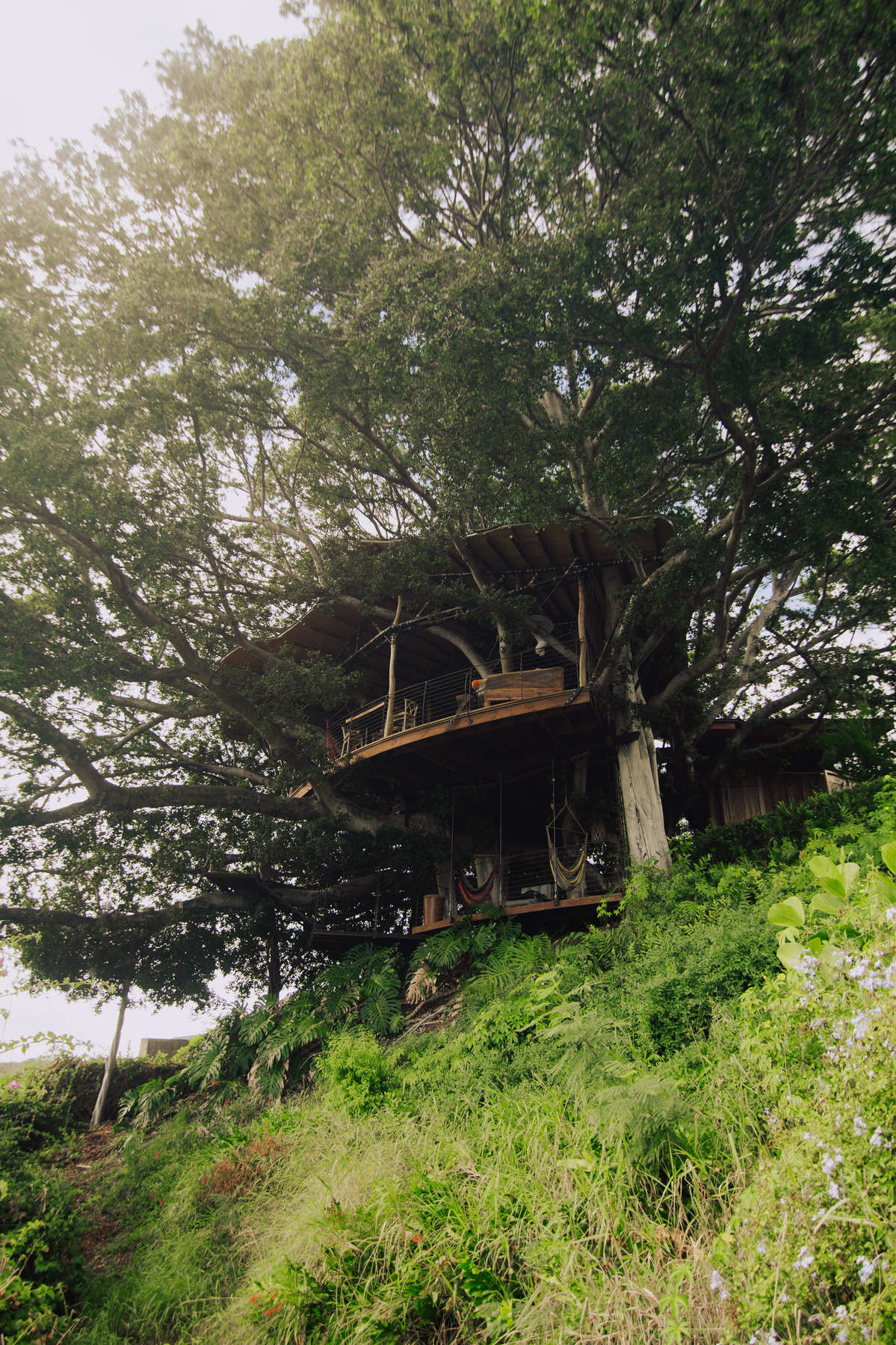 Mahina TreeHouse - Honolulu, Hawaii - glamping.directory