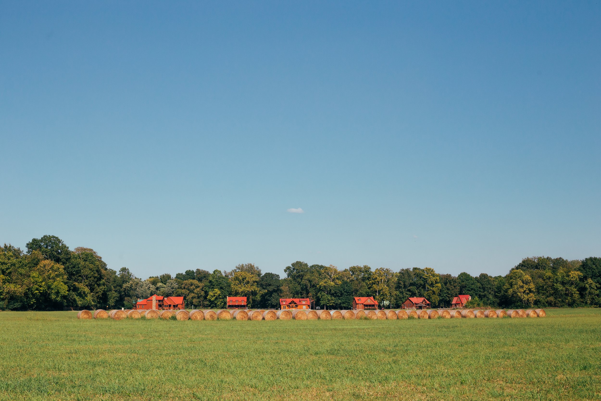 Fat Possum Hollow - Heber Springs, Arkansas - glamping.directory