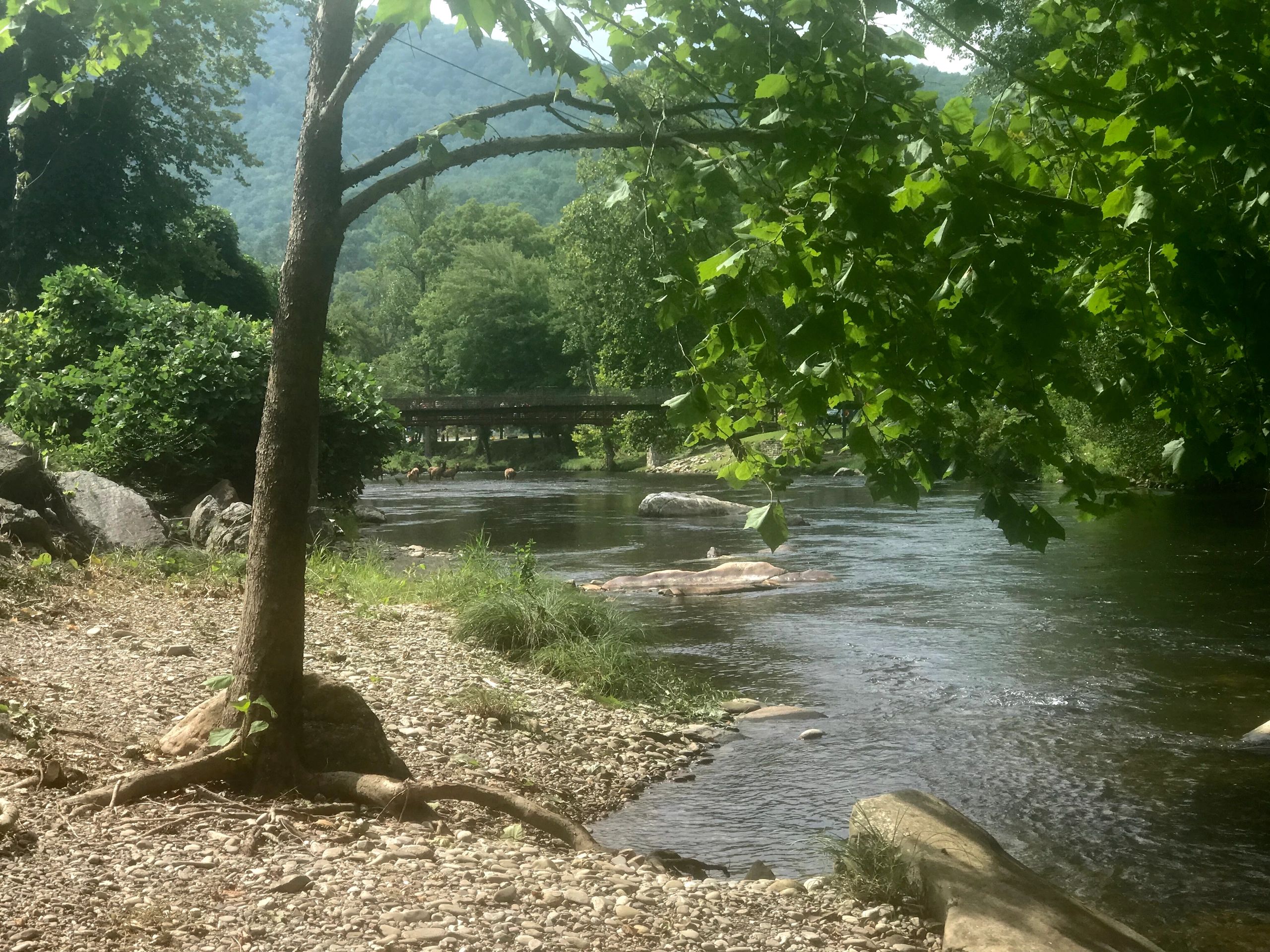 Cherokee Riverfront RV Park - Cherokee, North Carolina - glamping.directory