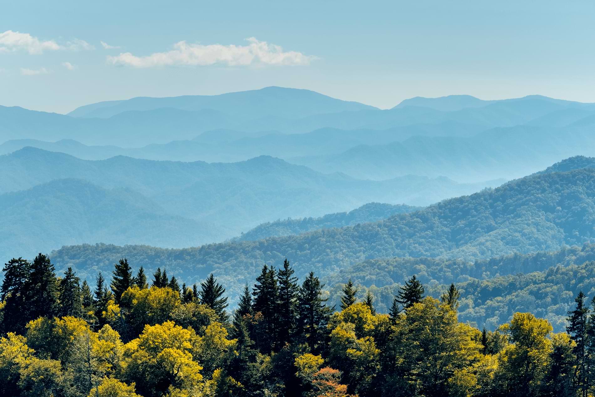 Gatlinburg Enchanted Treehouse - Gatlinburg, Tennessee - glamping.directory