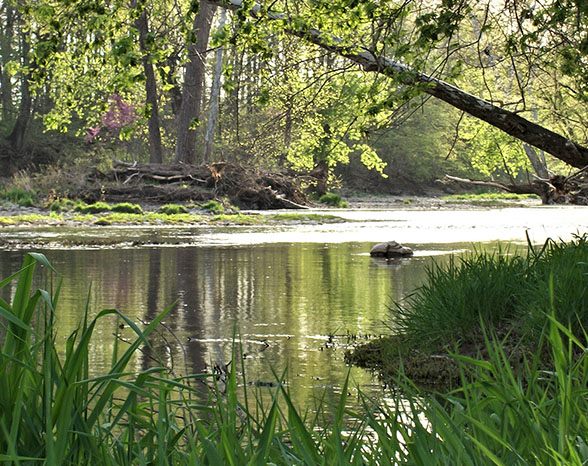 Cabins & Candlelight - Colfax, Indiana - glamping.directory