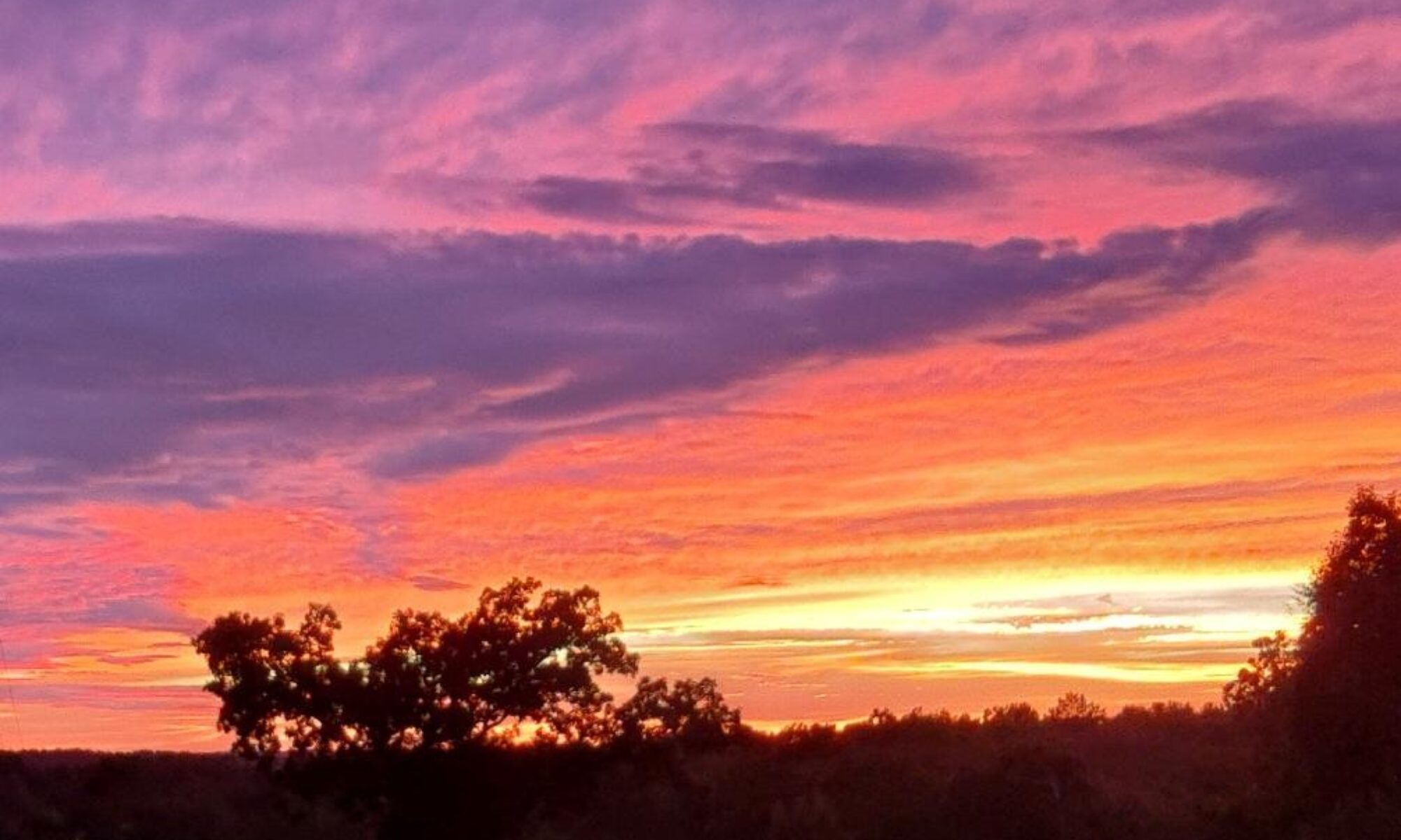 Sunset Ridge Campground - Elberton, Georgia - glamping.directory