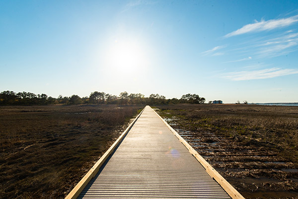 Holts Landing State Park - Dagsboro, Delaware - glamping.directory