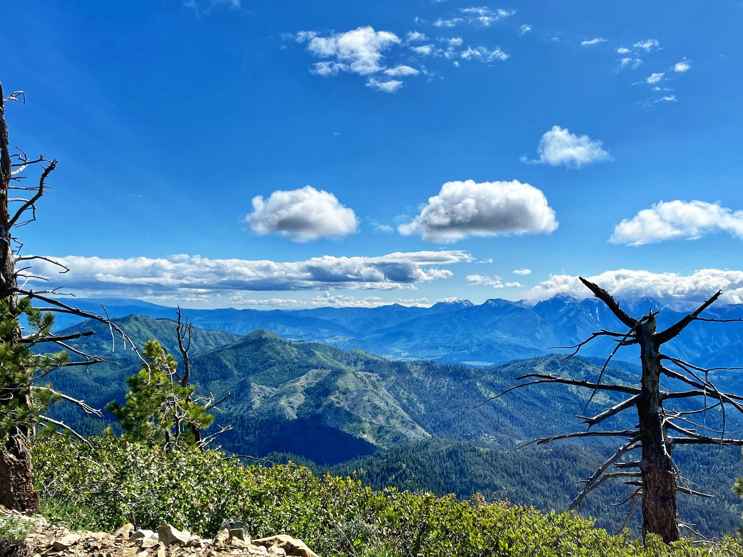 White Aspen Camping - Leavenworth, Washington - glamping.directory
