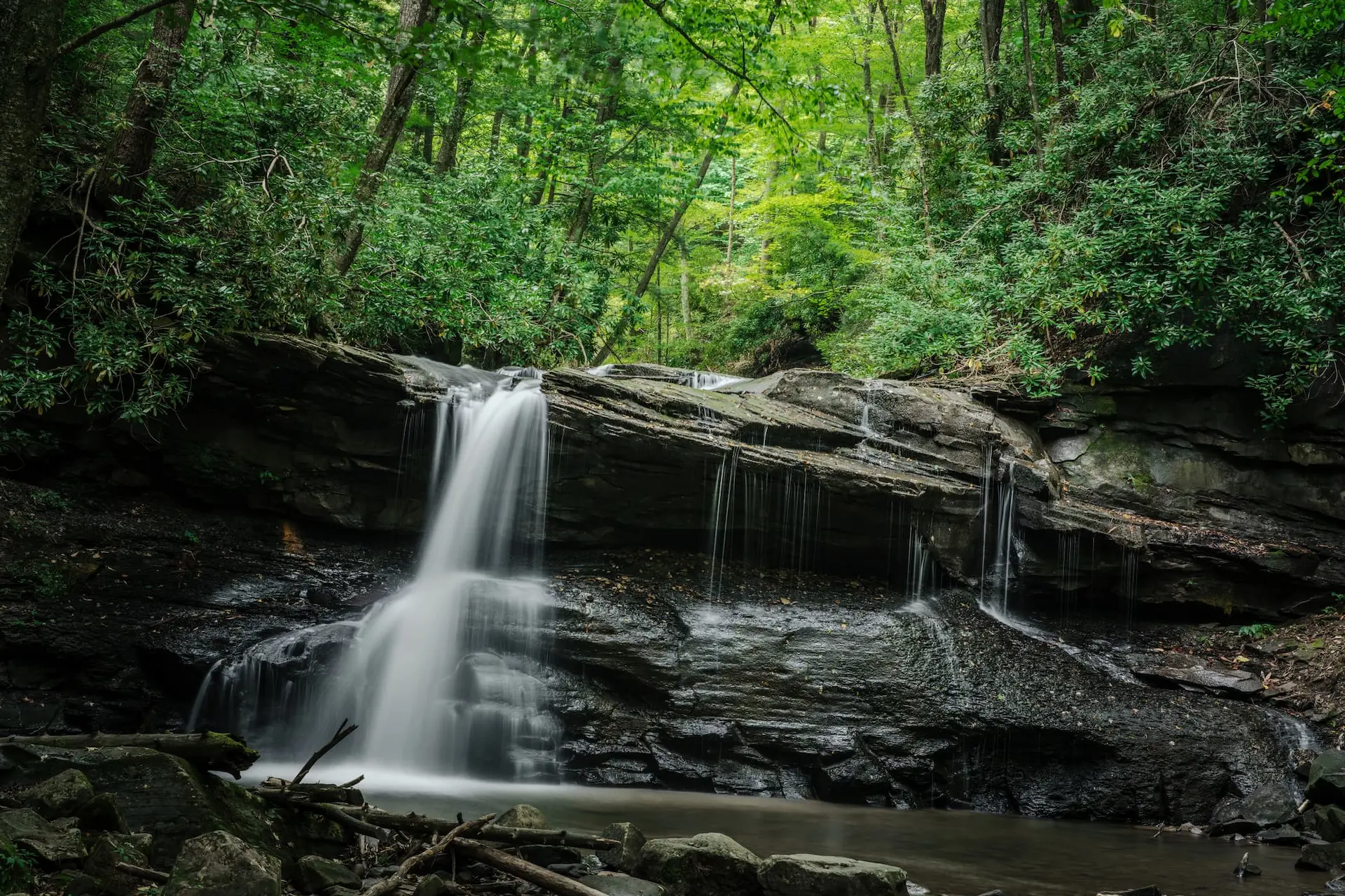 Holly River State Park Campgrounds - Hacker Valley, West Virginia - glamping.directory