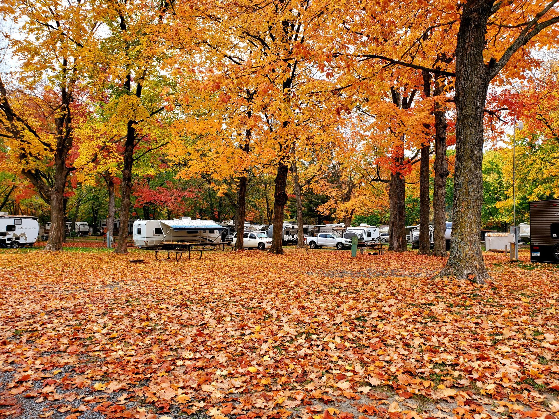 Wildwood RV Park & Campground - Shafer, Minnesota - glamping.directory