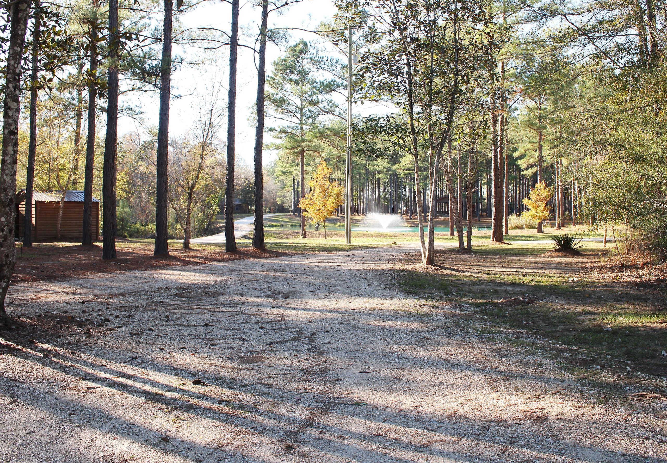 Bogue Chitto Swamp Cabins - Franklinton, Louisiana - glamping.directory