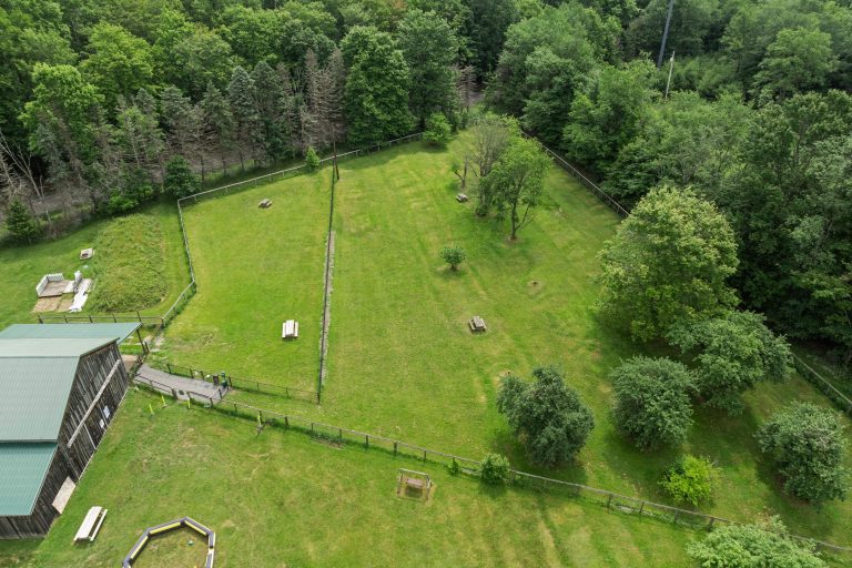 Forest Ridge Cabins and Campgrounds - Marienville, Pennsylvania - glamping.directory